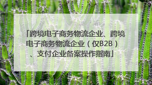 跨境电子商务物流企业、跨境电子商务物流企业（仅B2B）、支付企业备案操作指南